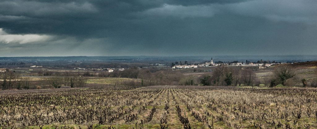 Domaine Chignard - Fleurie- Beaujolais
