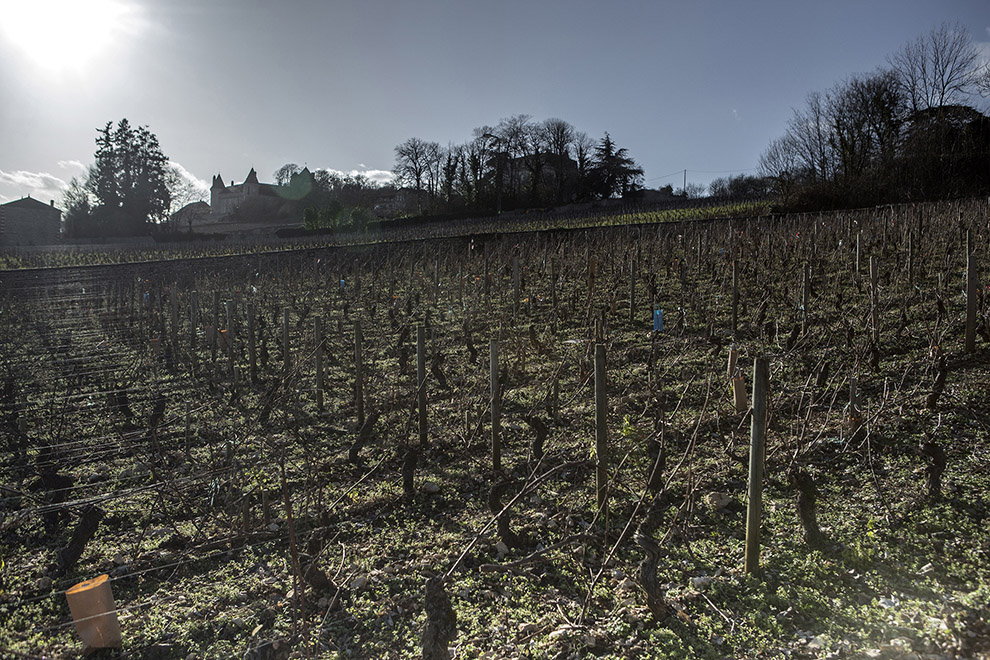 Domaine Paul et Marie Jacqueson - Bourgogne - Rully