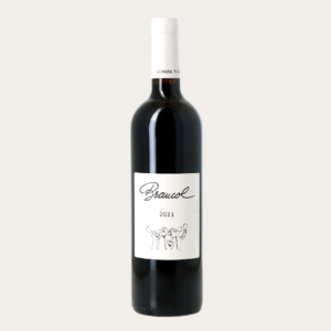 Viamo - Domaine Plageoles - Braucol 2021